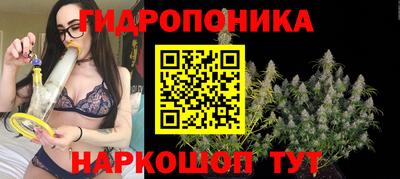а пвп мука Гай
