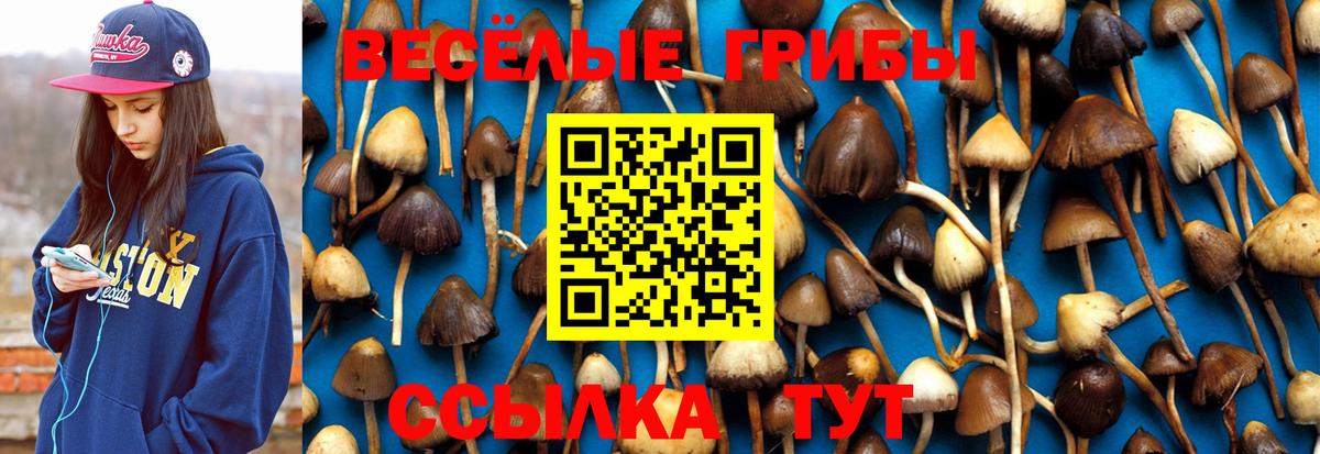 Галлюциногенные грибы Magic Shrooms Тамбов