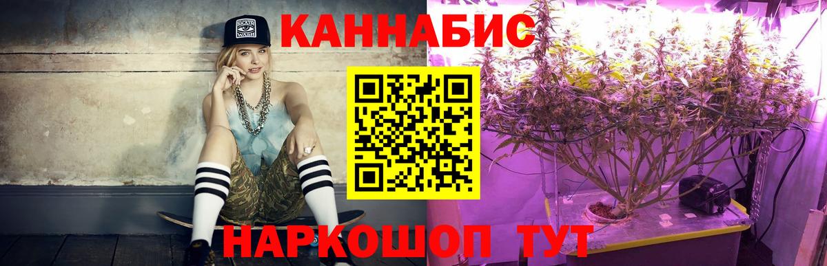 Бошки марихуана Ganja  Канабис AK-47  Бошки Шишки планчик  Тамбов  Вход с VPN 